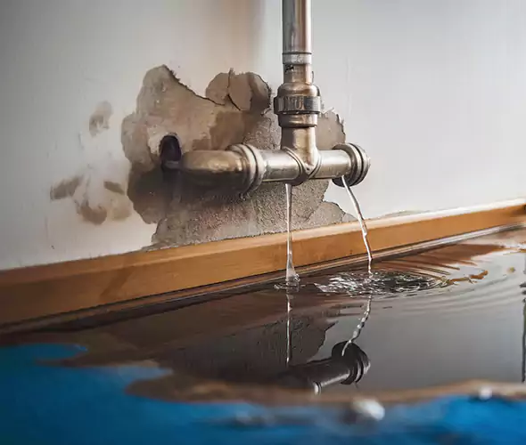 Professional Water Damage Restoration Experts in Farmingville, NY — Fast, Reliable & Certified