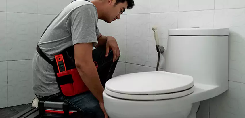 Toilet Repair in Farmingville