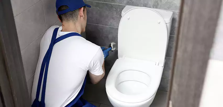 Toilet Lid Replacement in Farmingville