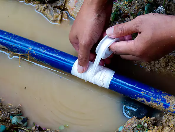  Why Choose Farmingville Plumbing for Leak Detection in Farmingville, NY?]