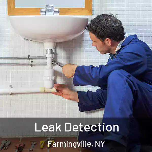  Leak Detection Farmingville, NY