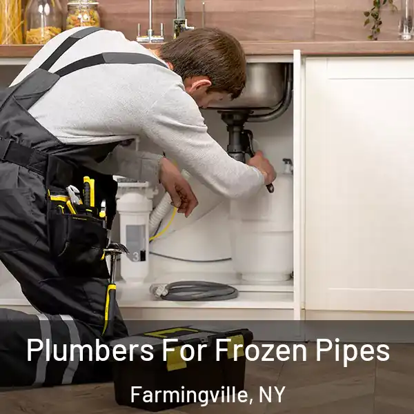  Plumbers For Frozen Pipes Farmingville, NY