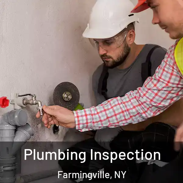  Plumbing Inspection Farmingville, NY