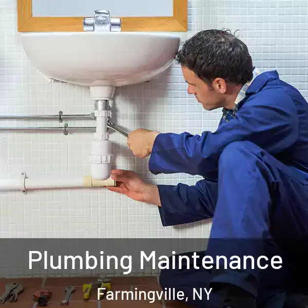  Plumbing Maintenance Farmingville, NY