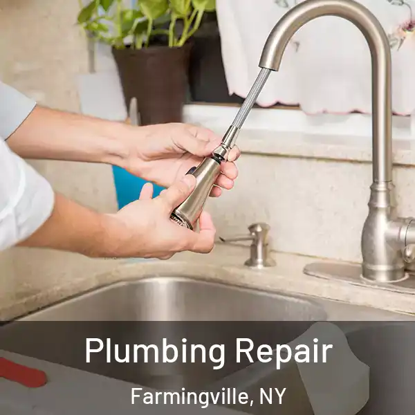  Plumbing Repair Farmingville, NY