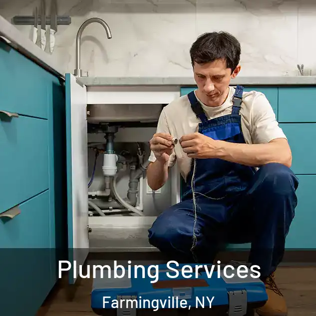 Plumbing Services Farmingville, NY