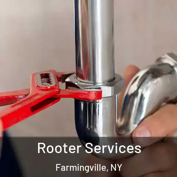  Rooter Services Farmingville, NY
