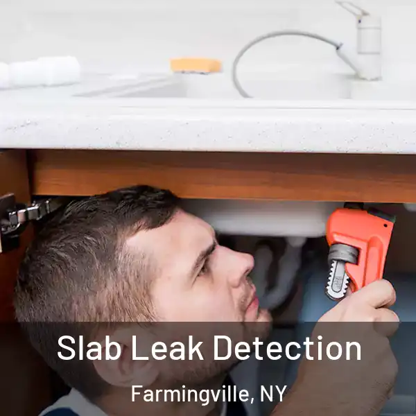  Slab Leak Detection Farmingville, NY