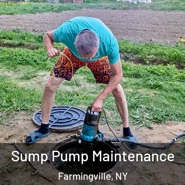  Sump Pump Maintenance Farmingville, NY
