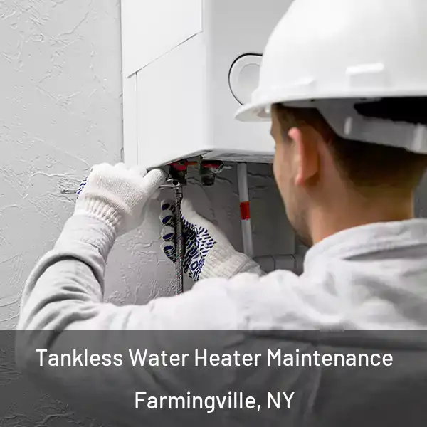  Tankless Water Heater Maintenance Farmingville, NY