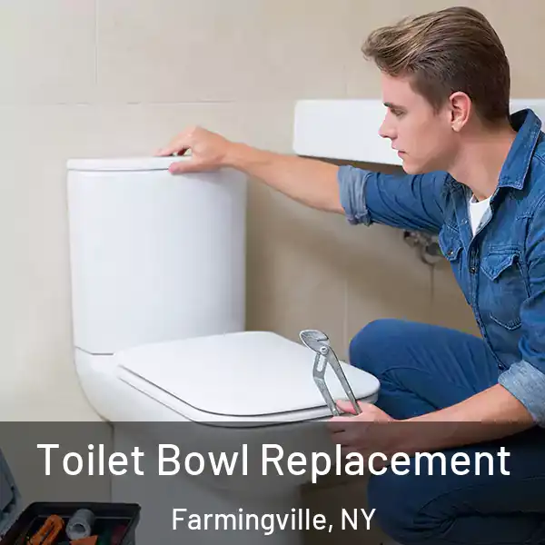  Toilet Bowl Replacement Farmingville, NY
