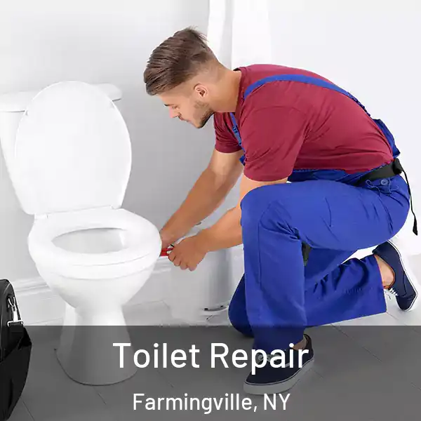  Toilet Repair Farmingville, NY