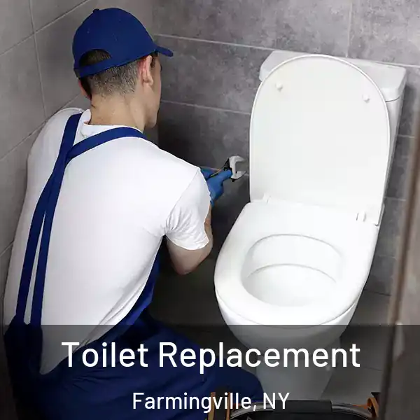  Toilet Replacement Farmingville, NY