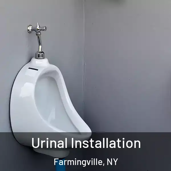  Urinal Installation Farmingville, NY