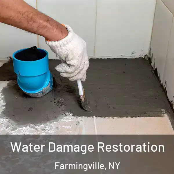  Water Damage Restoration Farmingville, NY
