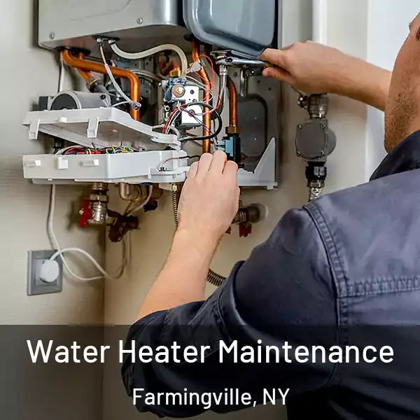  Water Heater Maintenance Farmingville, NY