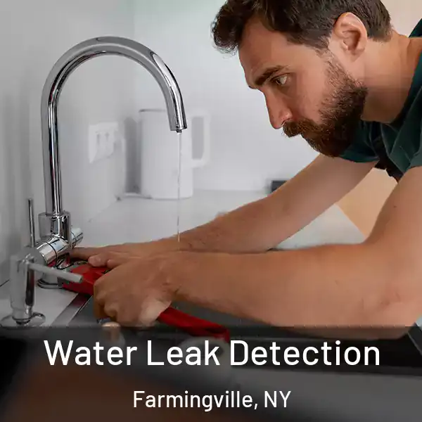  Water Leak Detection Farmingville, NY