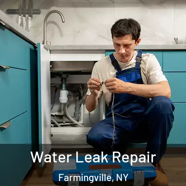  Water Leak Repair Farmingville, NY